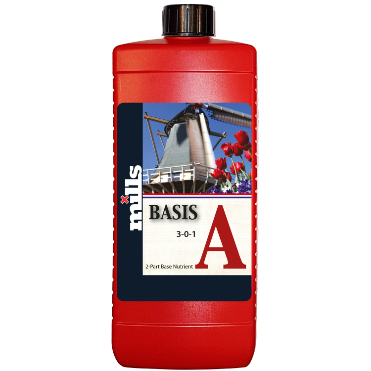 basis a main image