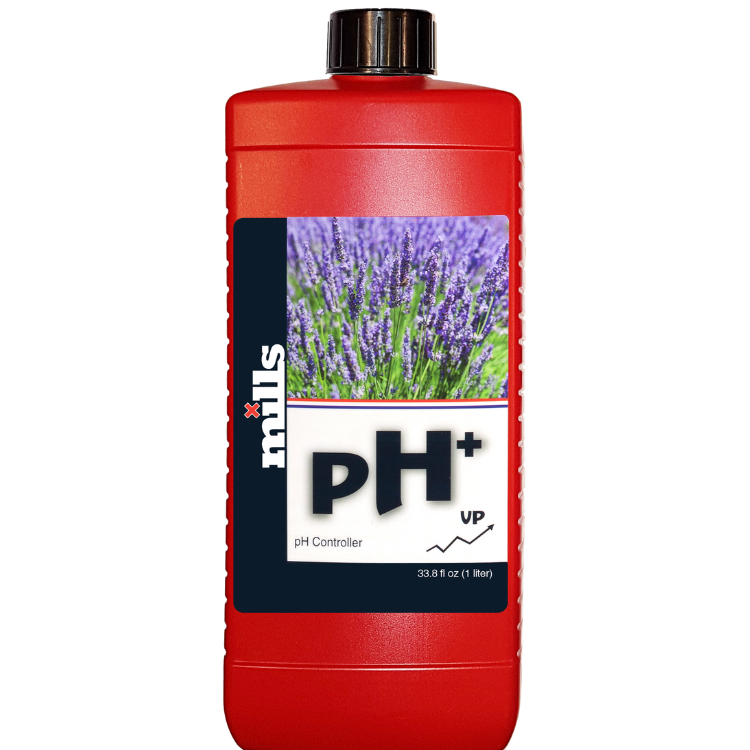 ph plus main image